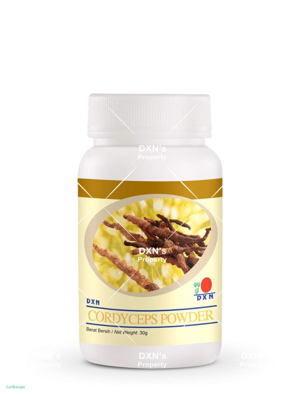 DXN Cordyceps Powder