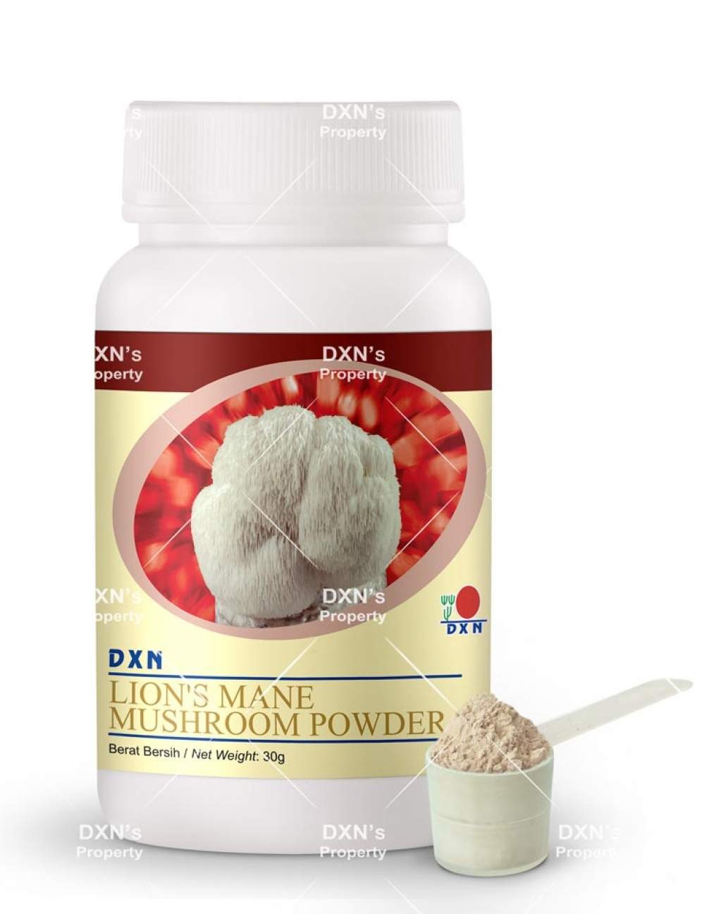 DXN LION'S MANE MUSHROOM POWDER