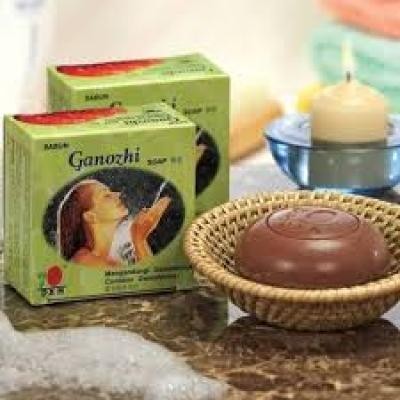 DXN Ganozhi Soap