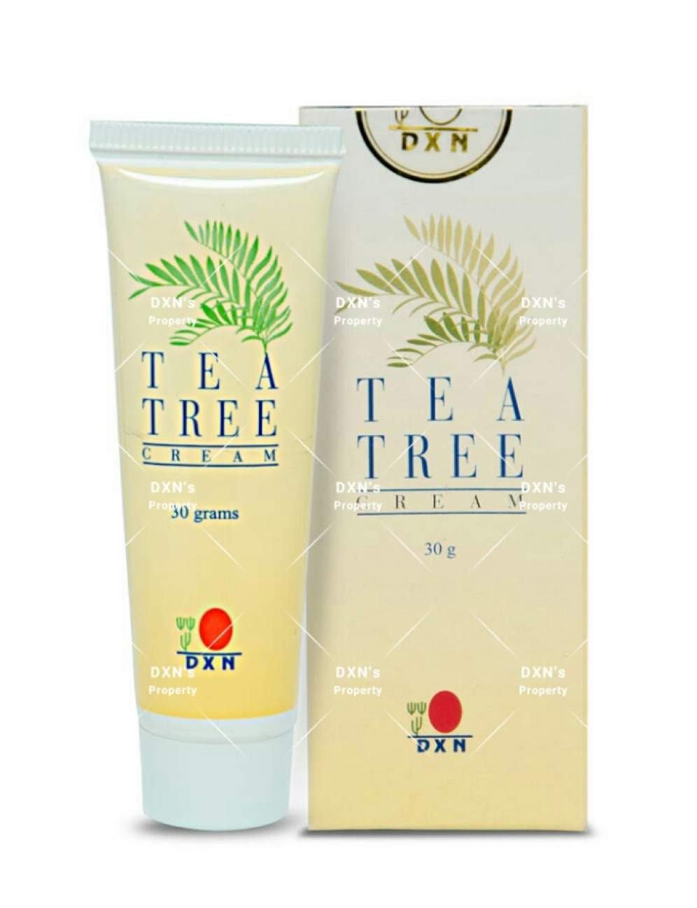 GANO MASSAGE OIL