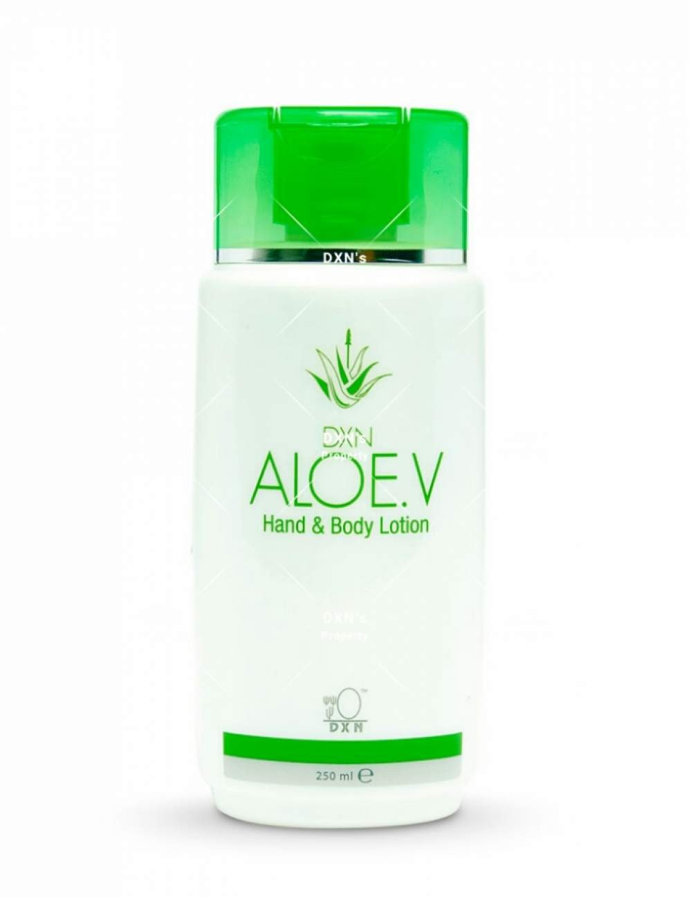 DXN ALOE V HAND & BODY LOTION